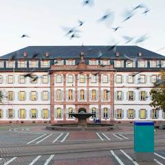 Gebäude, Architektur, Luisenplatz, Regierungspräsidium, Tauben